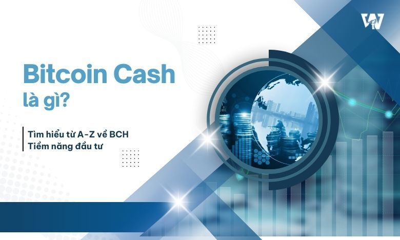 Bitcoin Cash là gì? Phân tích tiềm năng và chiến lược đầu tư